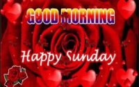 Happy Sunday Status video download Whatsapp