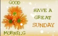 Sunday Wishes Video Status With Shayari