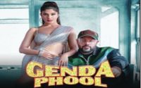 Genda Phool badshah Status Video Download