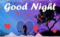 Good Night Video Download Whatsapp status