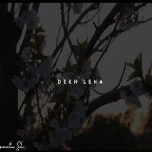 Dekh Lena Song Whatsapp Status Video Download