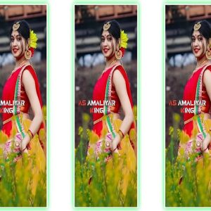 4k New Timli Status Video Download 2023