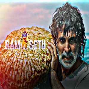 Ram Setu Movie Whatsapp Status Video Download